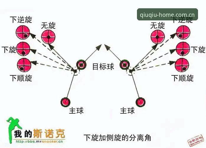 揭秘球盟会下载教程哪个好：从官方入口到版本选择的深度解析